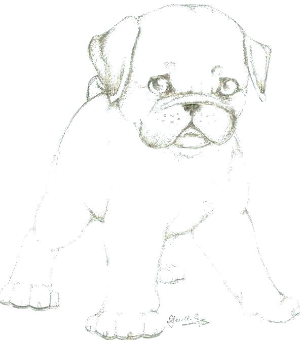 600x671 Pugs Coloring Pages Pug Coloring Pages Free Coloring Pug Puppy