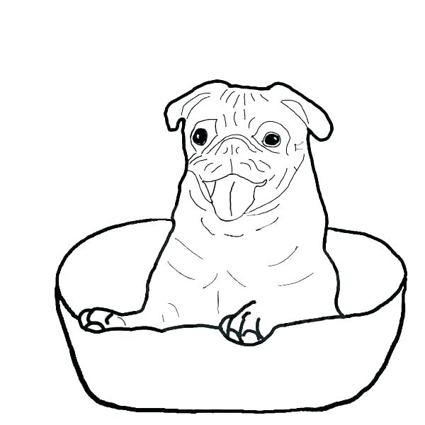 600x600 Pug Coloring Page Pug Coloring Pages Pug Coloring Page Pug Is