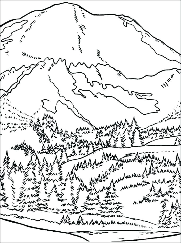 765x1024 Mountain Lion Coloring Pages Free Printable Pictures Of Cougars