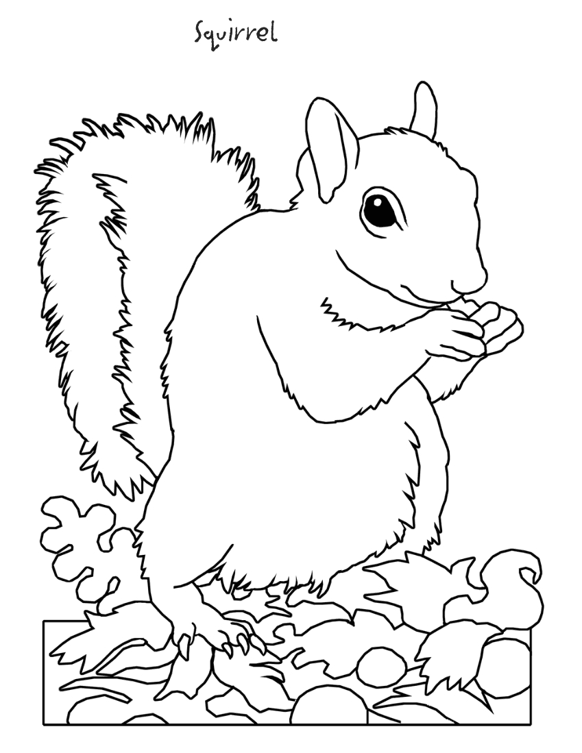 849x1099 Puma Coloring Pages Gallery Coloring For Kids 2018