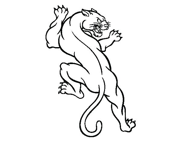 600x470 Puma Tattoo Coloring Page Free Coloring Tattoo Coloring Book Pdf