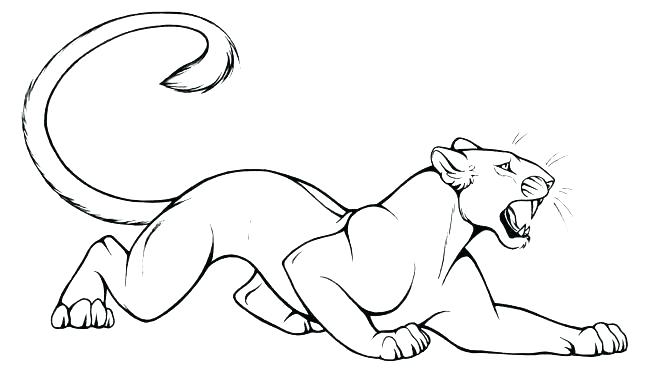 648x387 Puma Animal Coloring Pages Coloring Ideas Pro