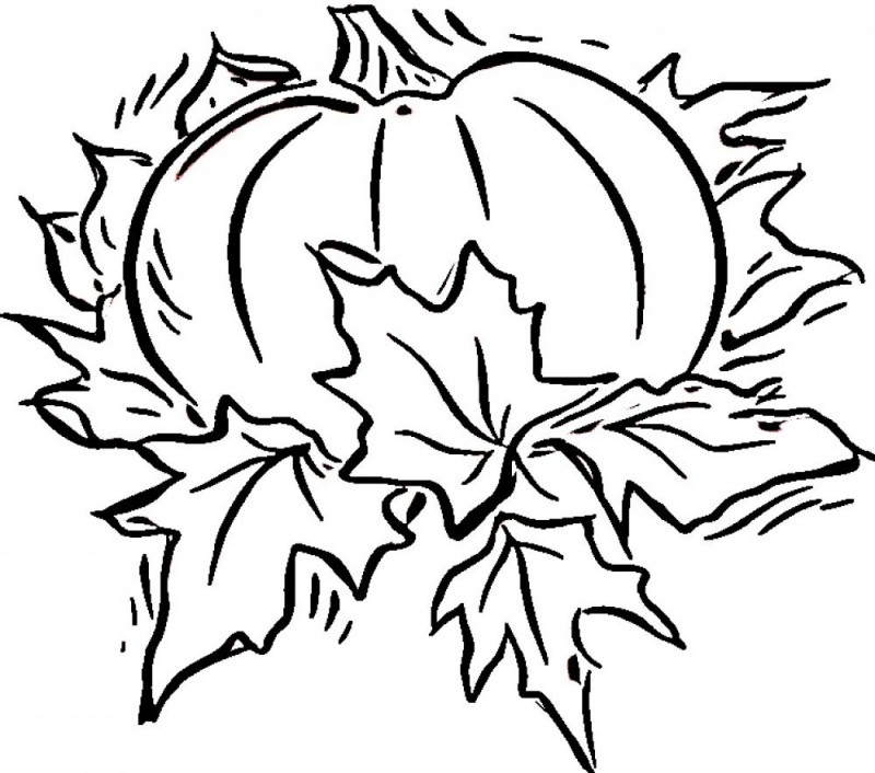 800x706 Blank Colouring Pages Free Printable Pumpkin Coloring Pages