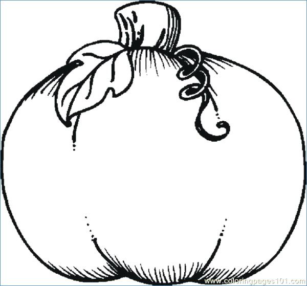 600x559 Pumpkin Coloring Pages Free Preschool Pumpkin Coloring Pages