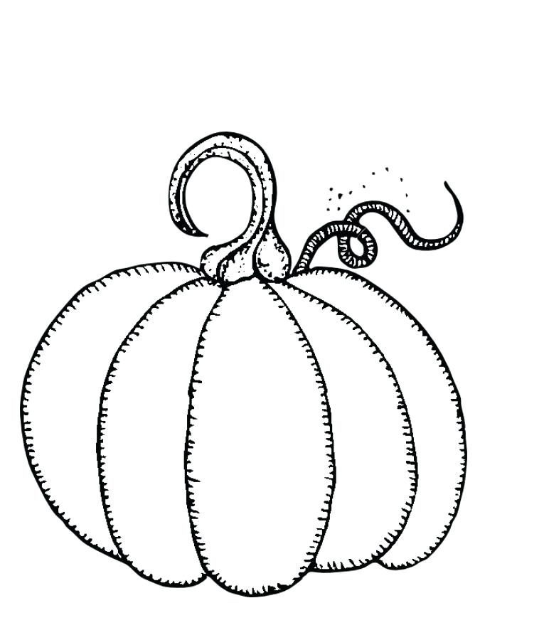 765x886 Printable Pumpkin Coloring Pages For Kids Free Pumpkin Coloring