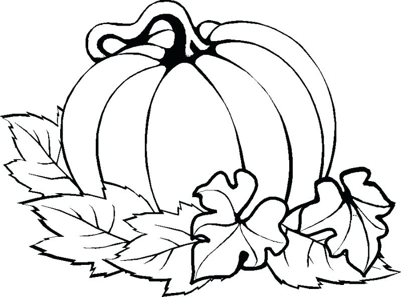 800x592 Free Printable Pumpkin Coloring Pages Pumpkin Color Pages