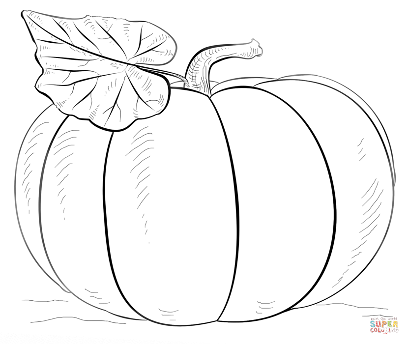 832x700 Free Printable Pumpkin Coloring Pages