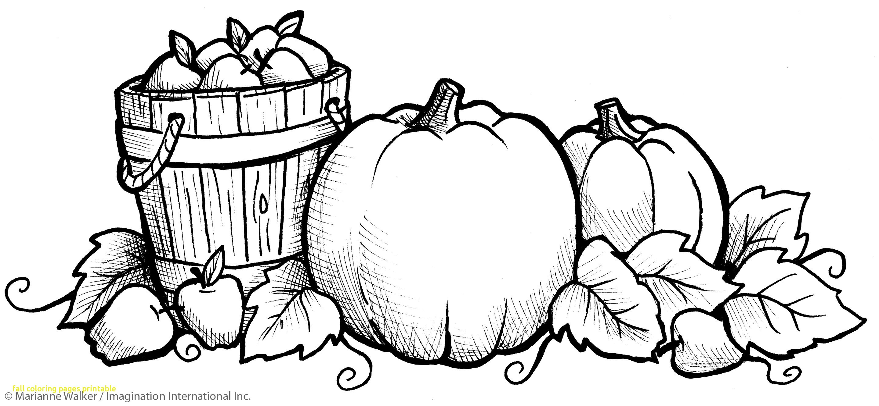 2880x1332 Pumpkin Color Words For Fall Kinderland Collaborative