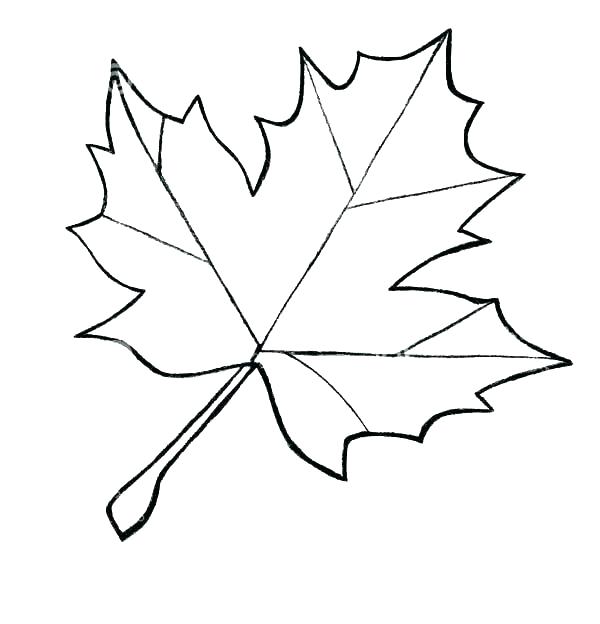 600x624 Leaf Coloring Template Fall Leaf Coloring Pages Page Image Images