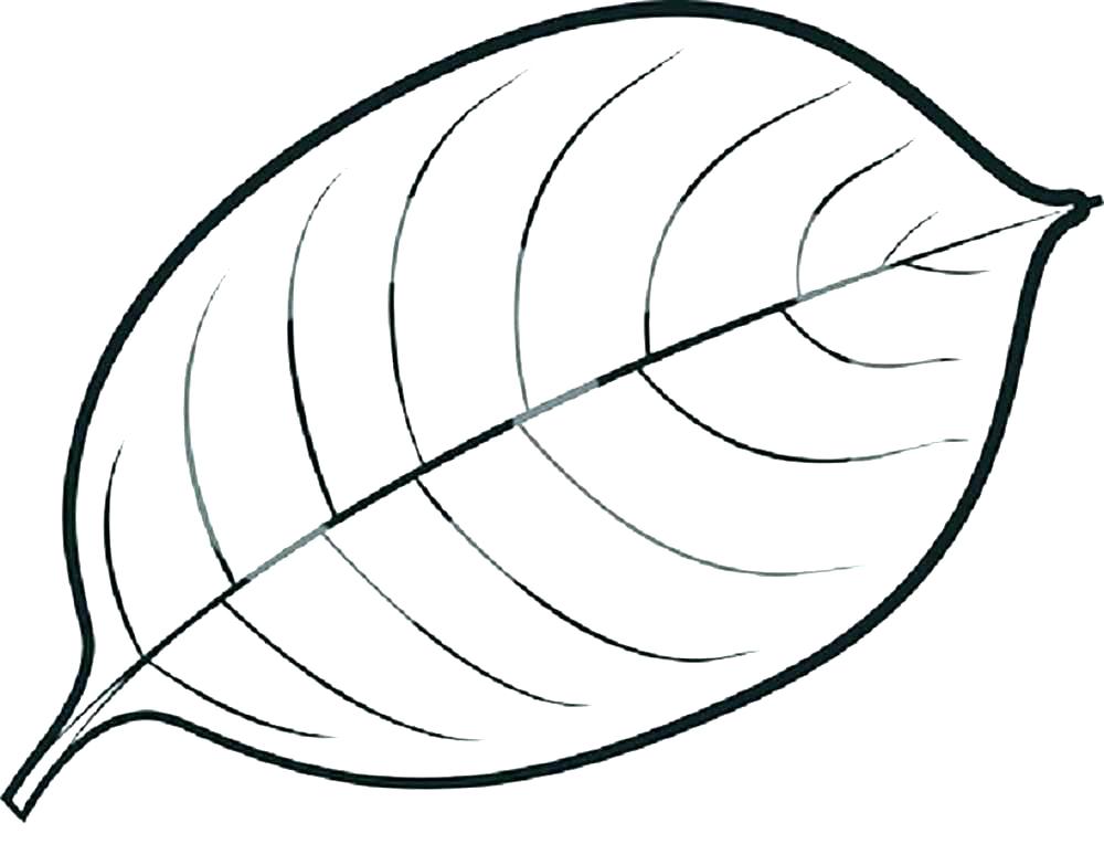 1000x783 Leaf Colouring Picture Pumpkin With Leaves Coloring Page Leaves