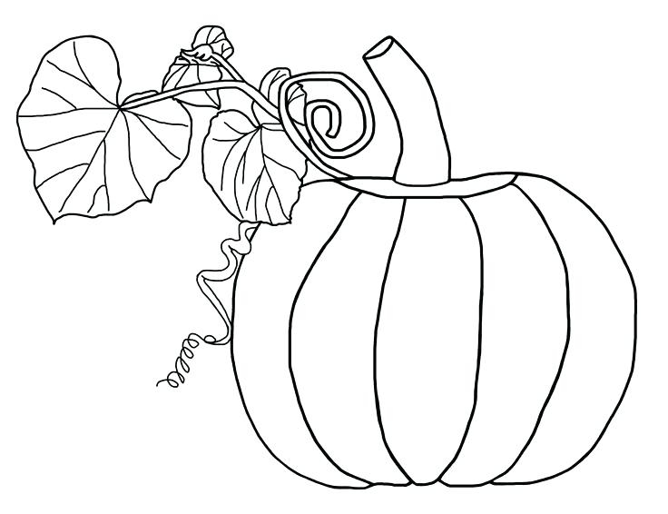 736x566 Pumpkin With Leaves Coloring Page Pumpkin Leaf Coloring Pages