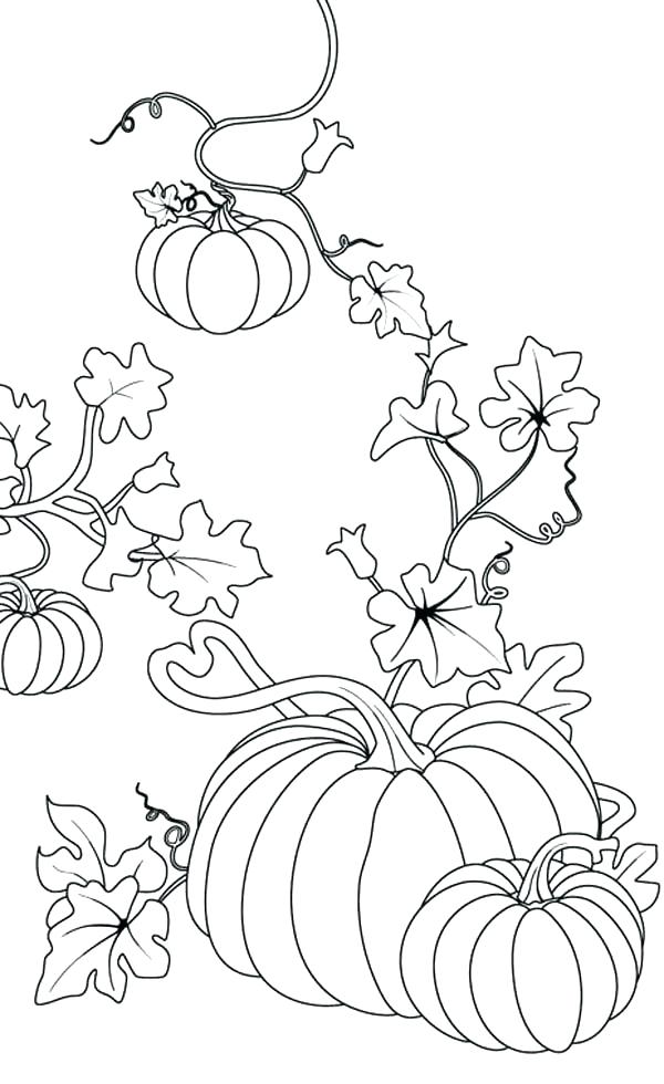 600x980 Pumpkin Color Page