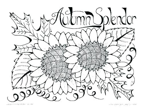 500x386 Coloring Page Leaves Leaf Coloring Pages Fall Tree Coloring Page