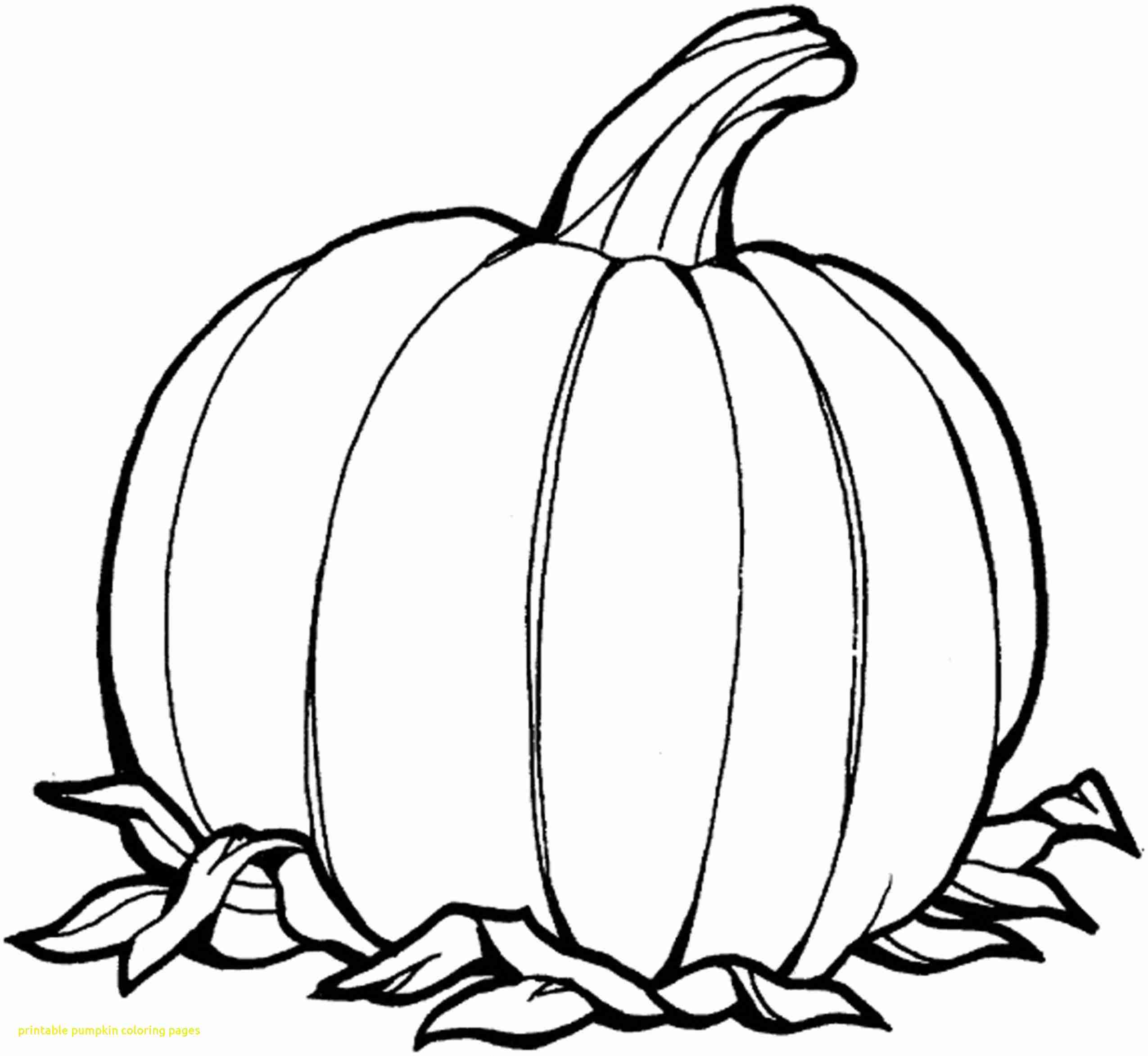 2550x2345 This Is Best Pumpkin Outline Printable 22930 Coloring Pages