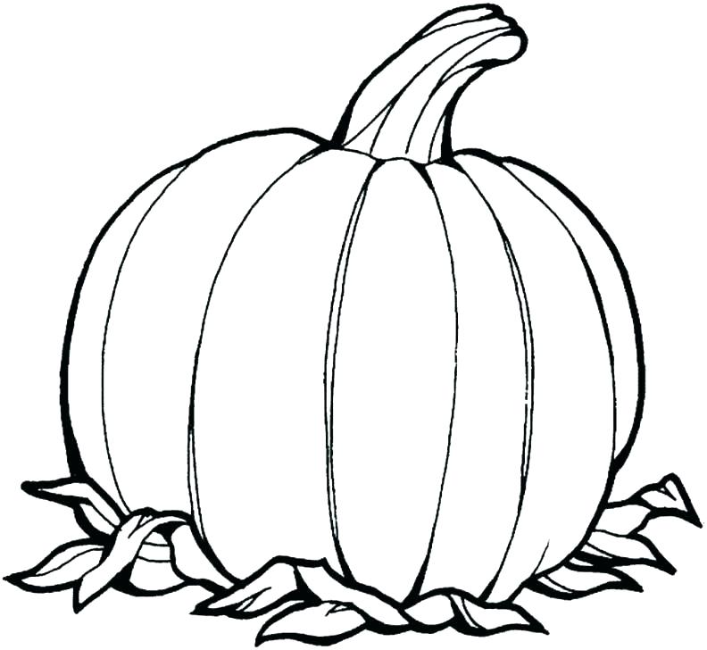 792x728 Pumpkin Coloring Pages Printable Pumpkin Coloring Pages Pumpkin