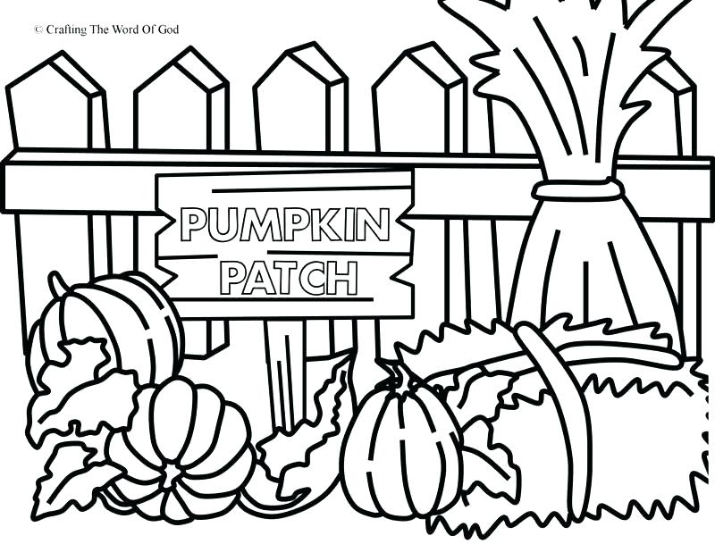 800x609 Pumpkin Patch Coloring Page Pumpkin Patch Coloring Pages Printable