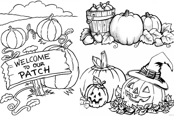 720x480 Pumpkin Patch Coloring Pages