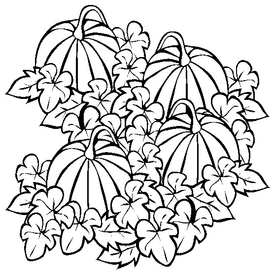 554x565 Pumpkin Patch Halloween Coloring Pictures Intended For Pages Plans