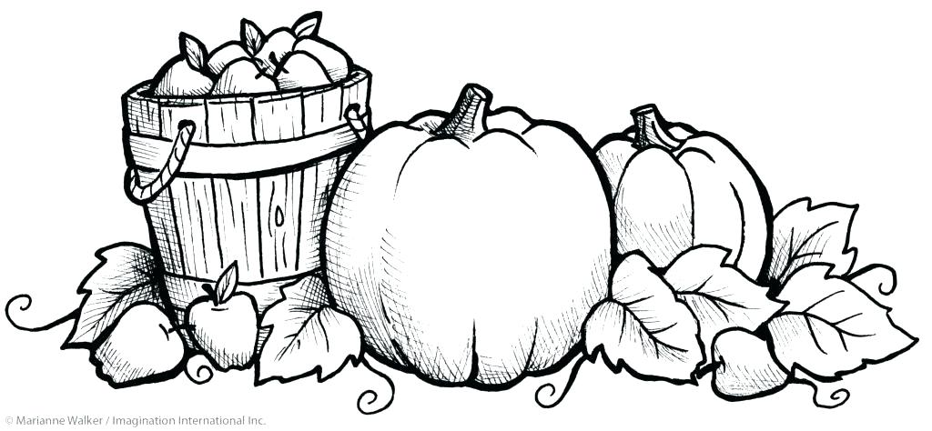 1024x474 Pumpkin Coloring Pages Free Pumpkin Coloring Pages To Print
