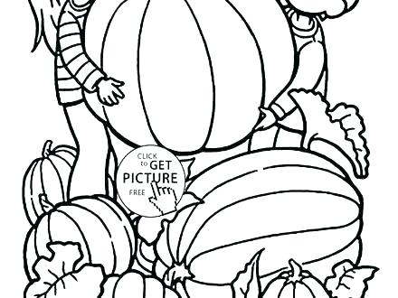 440x330 Coloring Page Pumpkin Coloring Ideas Pro