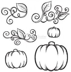 236x239 Paintings Of Pumpkins And Vines 12ak Pumpkinvines.jpg Gourds