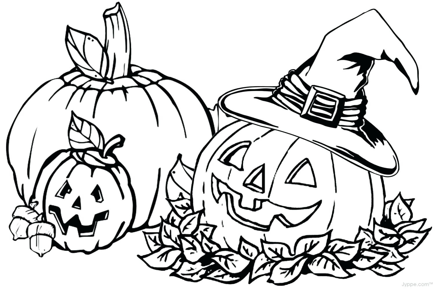 1503x1000 Pumpkin Coloring Sheets 6 19534 Adorable Pictures Tixac