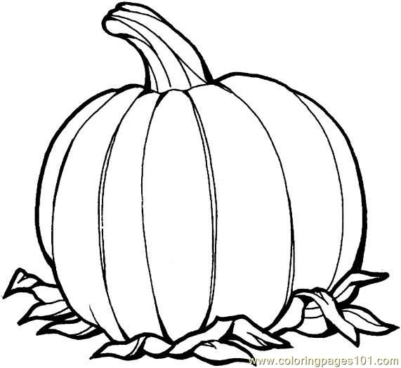 571x525 Pumpkin Vine Coloring Page