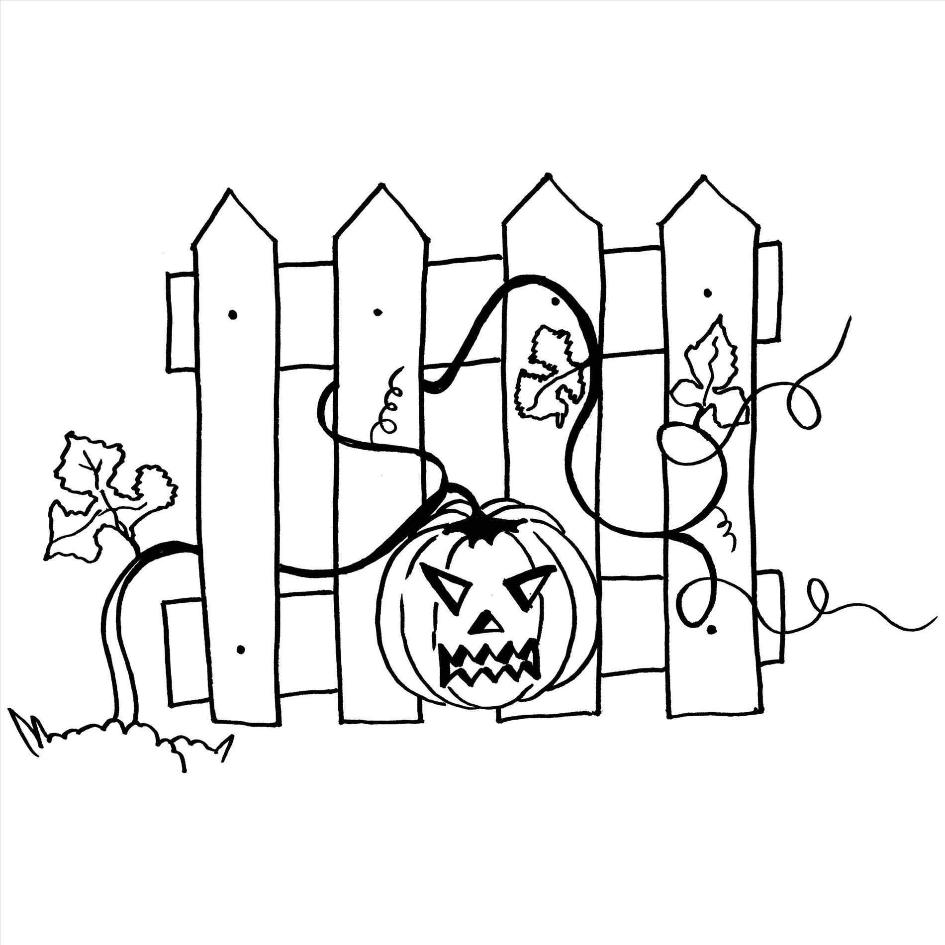 1900x1900 Pumpkin Vine Coloring Page Online Coloring Printable