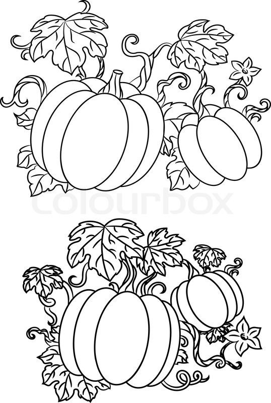 538x800 Stock Vector