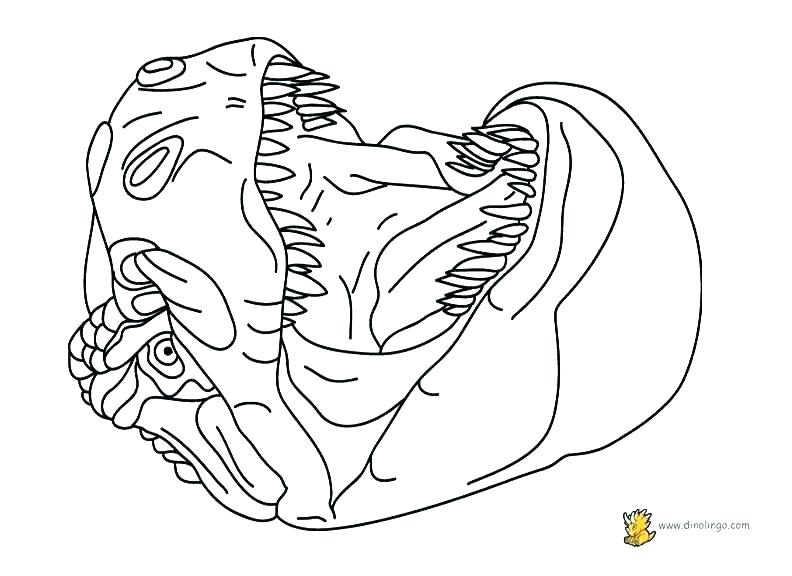 792x576 Puppet Coloring Pages Dragon Parade Puppet Coloring Page Free