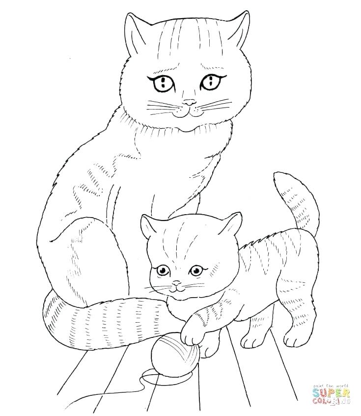 735x847 Cute Kitten Coloring Page Free Printable Coloring Pages Cat Mother