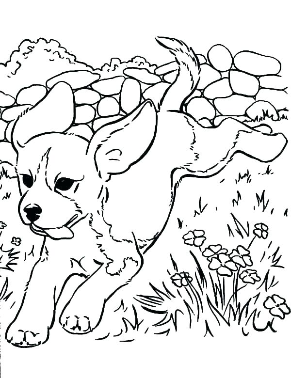 600x780 Kitten And Puppy Coloring Pages Coloring Page Puppy Puppy