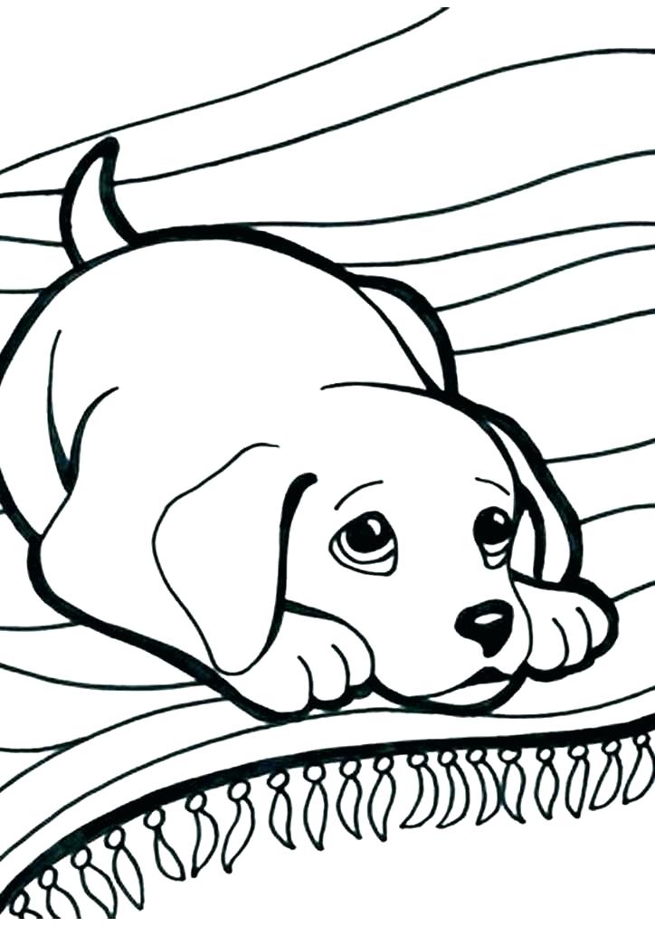 724x1024 Coloring Pages Of Kittens Coloring Pages Puppies And Kittens