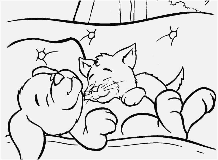 827x609 Kittens Coloring Pages Footage Coloring Pages For Puppies