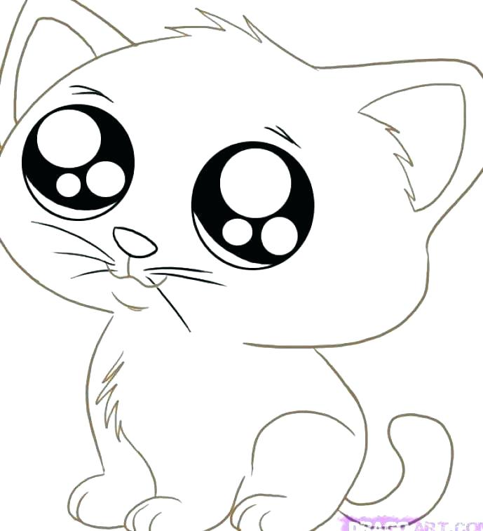 689x757 New Puppies And Kittens Coloring Pages Free Download Kitten Color