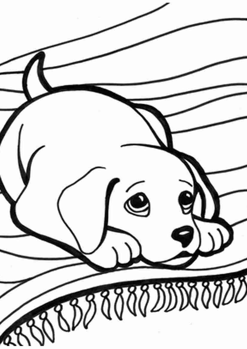 826x1169 Puppy And Kitten Coloring Pages