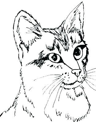 313x395 Cute Kittens Coloring Pages Puppy And Kitten Coloring Sheets