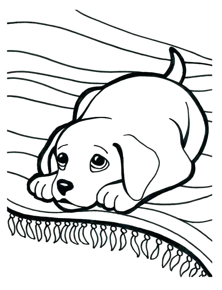 736x960 Cartoon Puppy Coloring Pages Puppies Coloring Page Puppy Dog