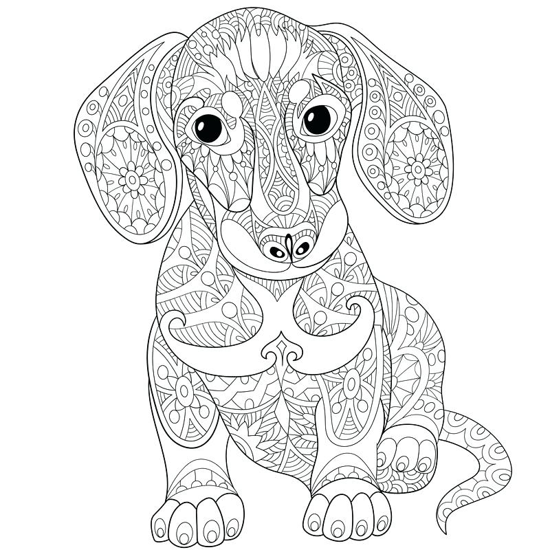 800x800 Dachshund Coloring Pages Dachshund Coloring Pages Here Are