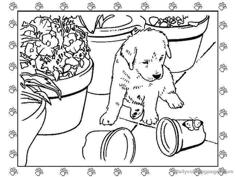 800x600 Realistic Puppy Coloring Pages Download And Print For Free