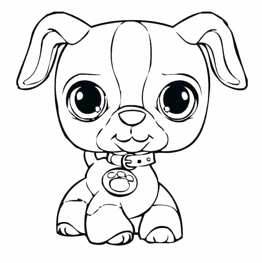 850x855 Coloring Cartoon Puppy Coloring Pages Printable Books In Addition