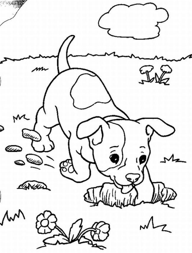 649x854 Puppy Coloring Sheet Puppy Love Coloring Pages Displayed A Sense