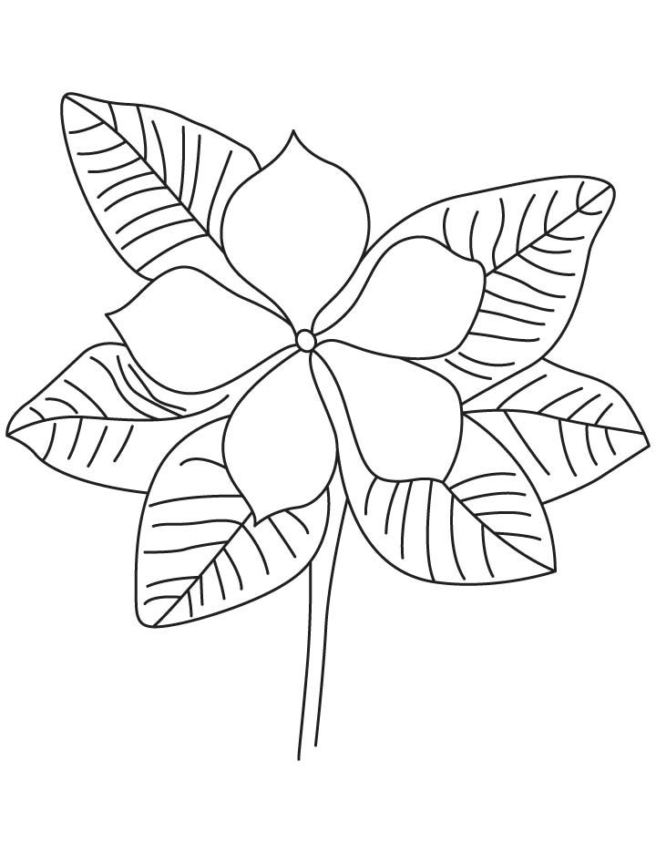 720x936 Purple Periwinkle Coloring Page Vocales Activities