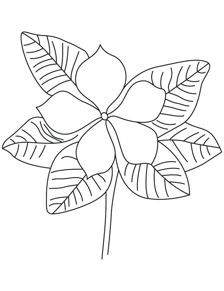 720x936 Purple Coloring Pages Impair.co