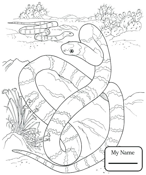 614x734 Coloring Pages Christmas Tree Reptiles Download Snake 9 For Kids