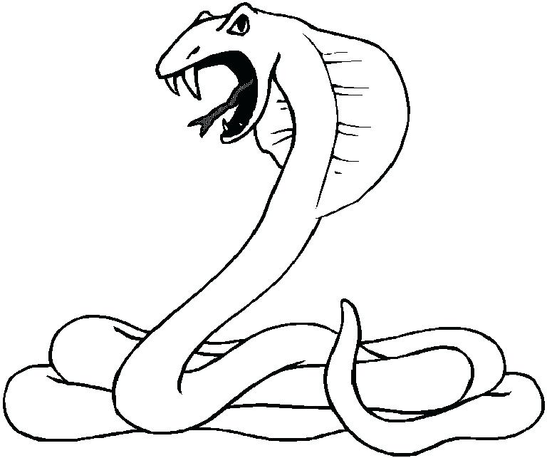 768x643 Ball Python Coloring Page At Snake Coloring Page
