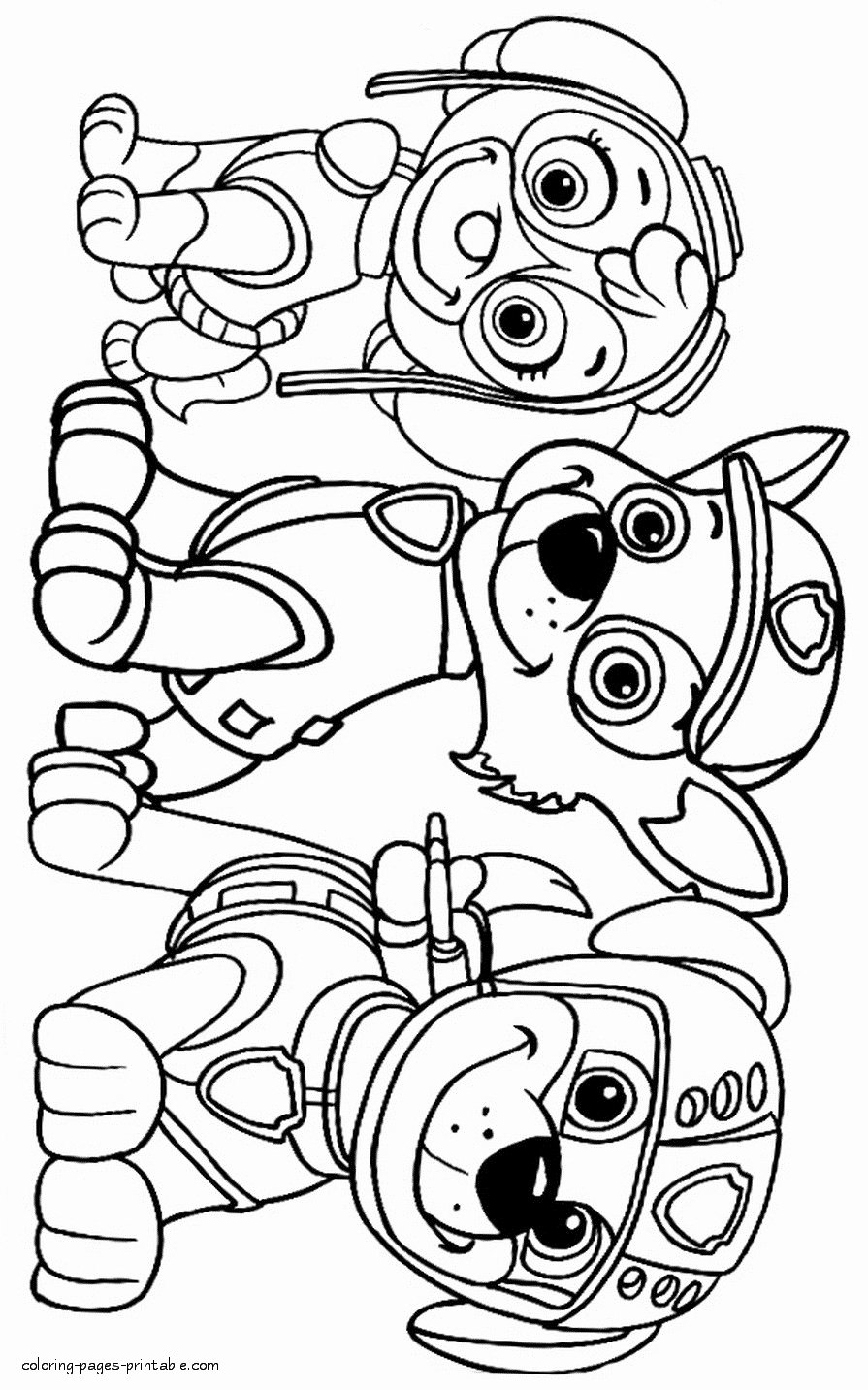 895x1433 Cutecutepuppies