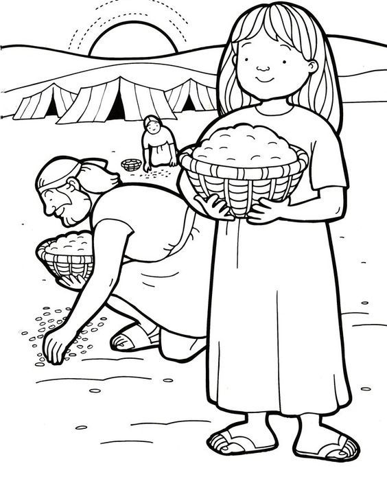 564x698 Manna And Quail Coloring And Maze