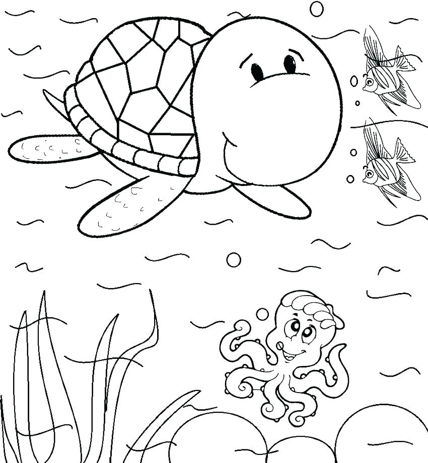 850x921 Quail Coloring Page Coloring Sheet Quail Manna And Quail Coloring