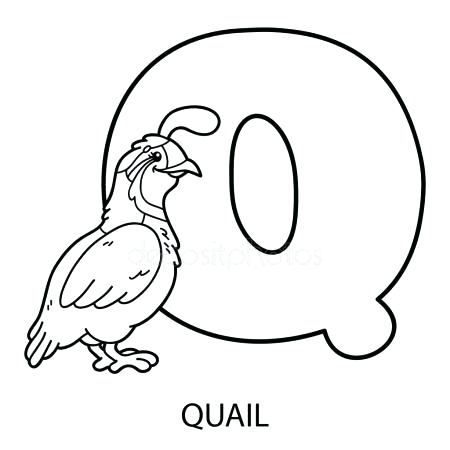 450x450 Quail Coloring Page Quail Coloring Page Click To See Printable